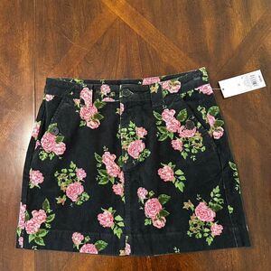 Wild-fable Women's multi Skirt